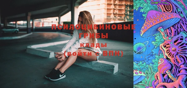 дурь Богородицк