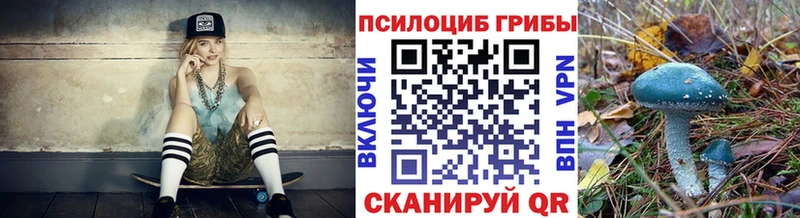 Купить закладки Воскресенск Псилоцибиновые грибы мицелий